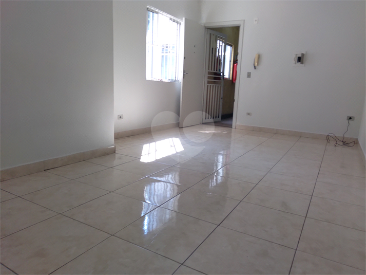 Foto REO188484
