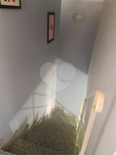 Foto REO188597