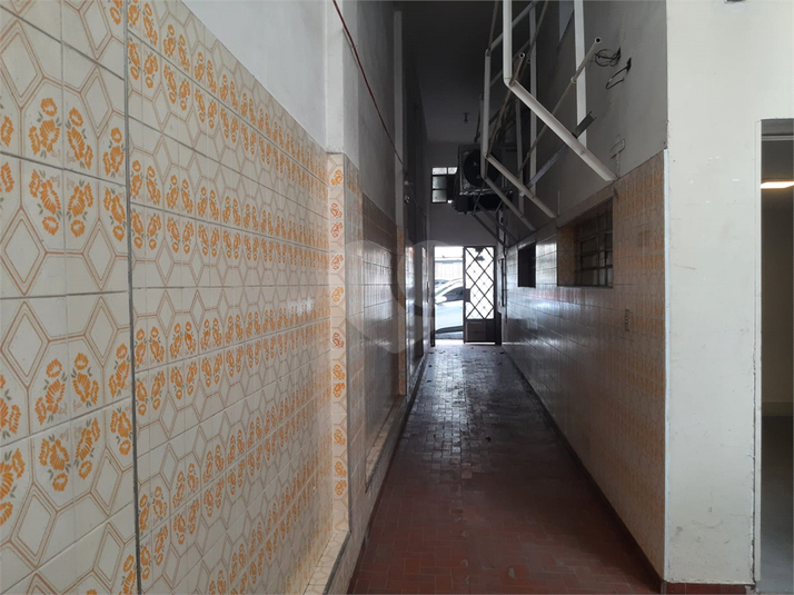 Foto REO188620