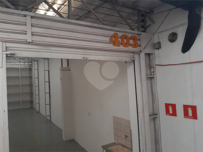 Foto REO188620