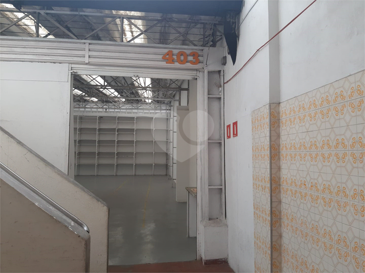 Foto REO188620
