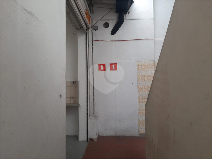 Foto REO188620
