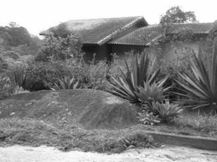 Foto REO188771