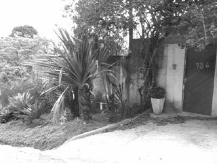 Foto REO188771