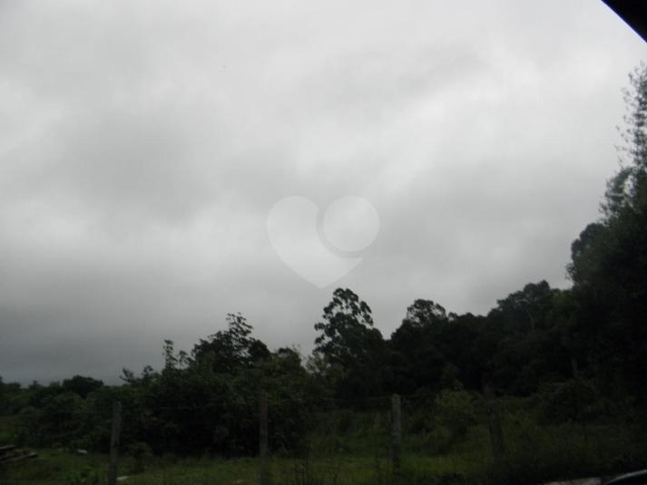 Foto REO188777