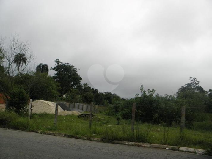 Foto REO188777