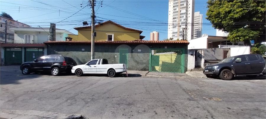 Foto REO188823