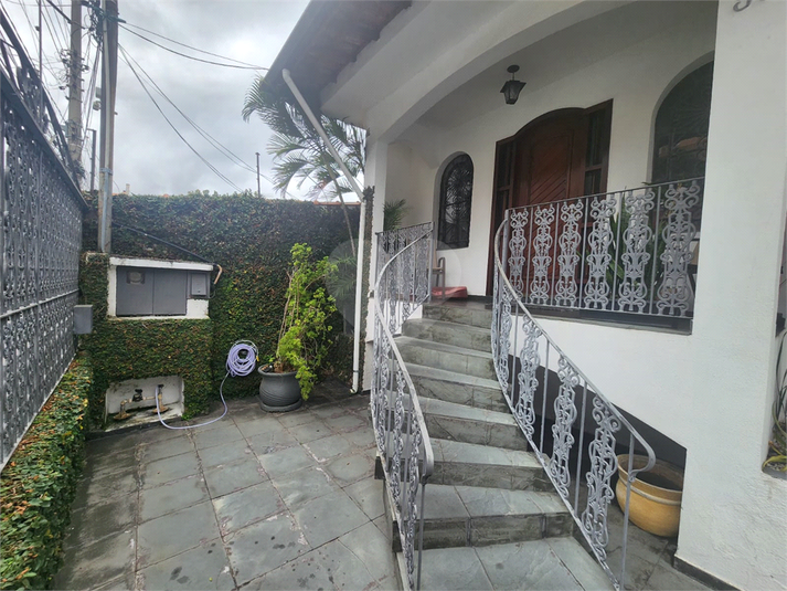 Foto REO189186
