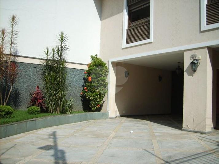 Foto REO189247