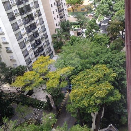 Foto REO189307