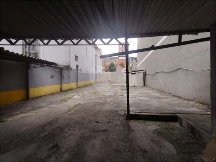 Foto REO189501