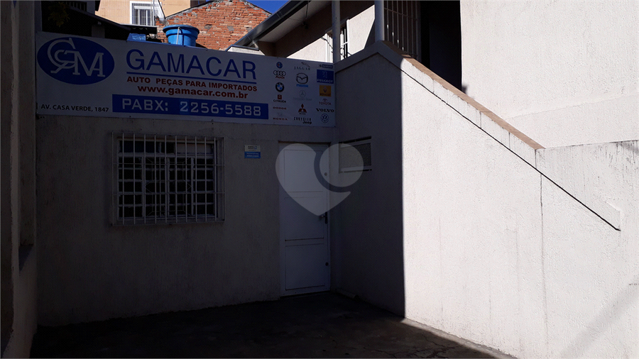 Foto REO189625