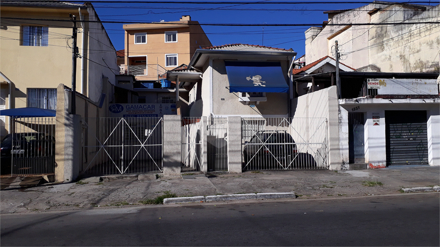 Foto REO189625