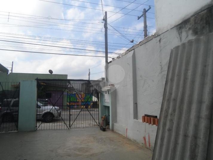 Foto REO189625