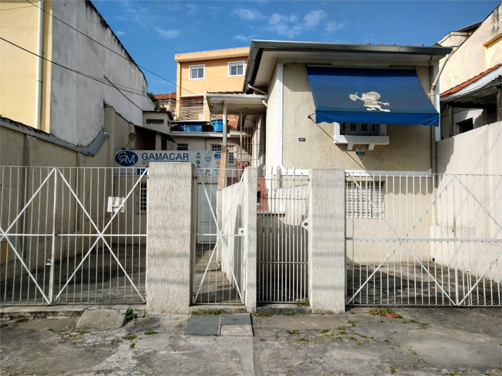 Foto REO189625