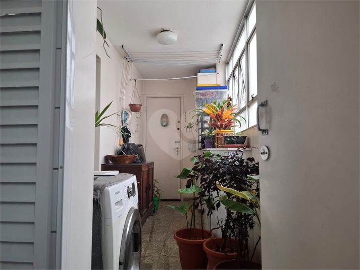 Foto REO189747
