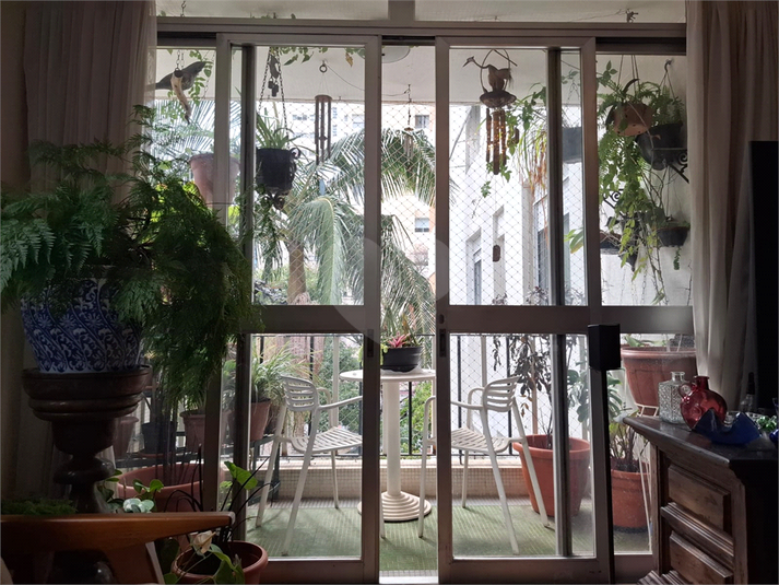 Foto REO189747
