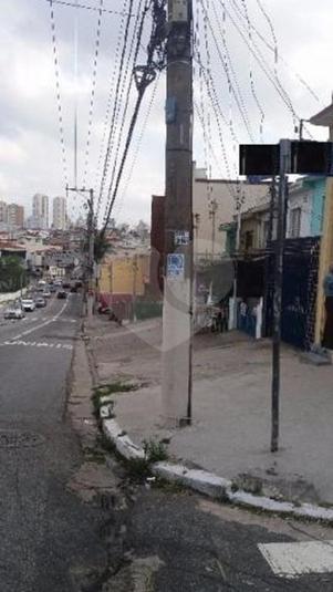 Foto REO189979