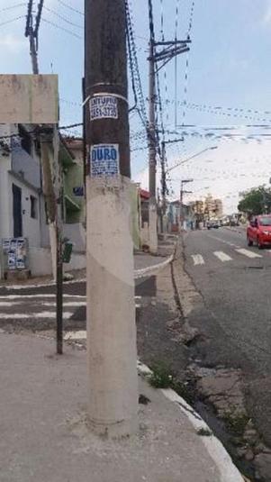 Foto REO189979