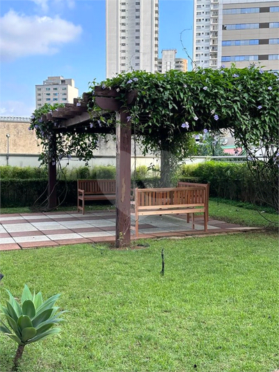 Foto REO190268