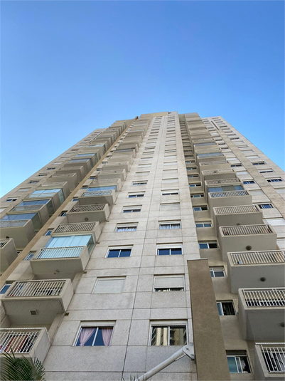 Foto REO190268