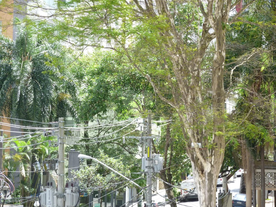 Aluguel Apartamento São Paulo Paraíso REO190320 18