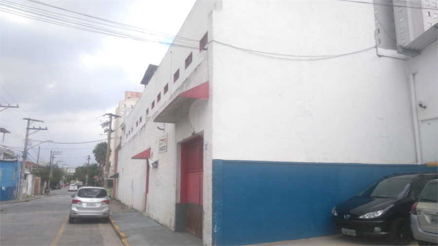 Foto REO191045