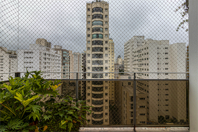 Foto REO191355