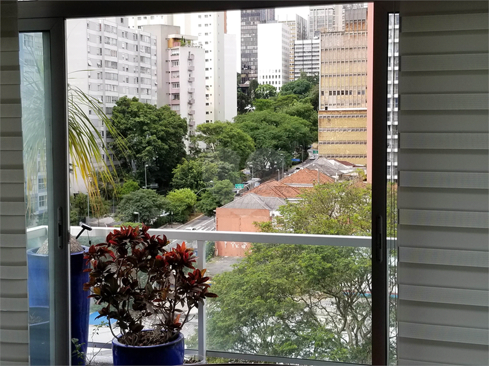 Foto REO191525