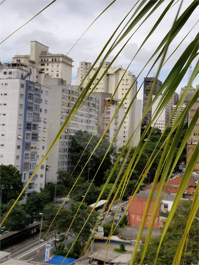 Foto REO191525