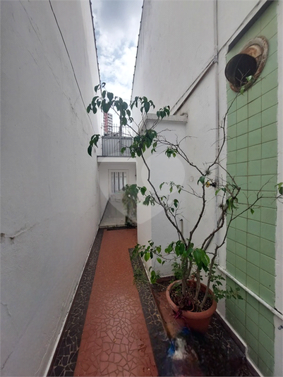Foto REO19226