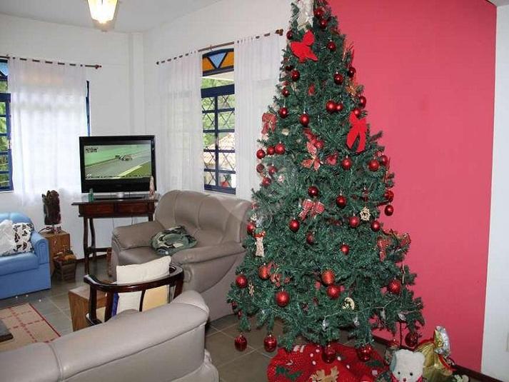 Foto REO192666