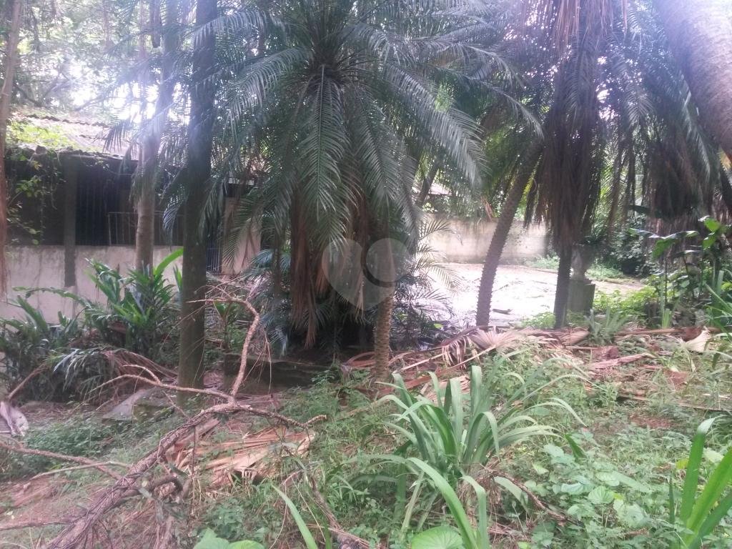 Venda Casa térrea São Paulo Tucuruvi REO192709 26