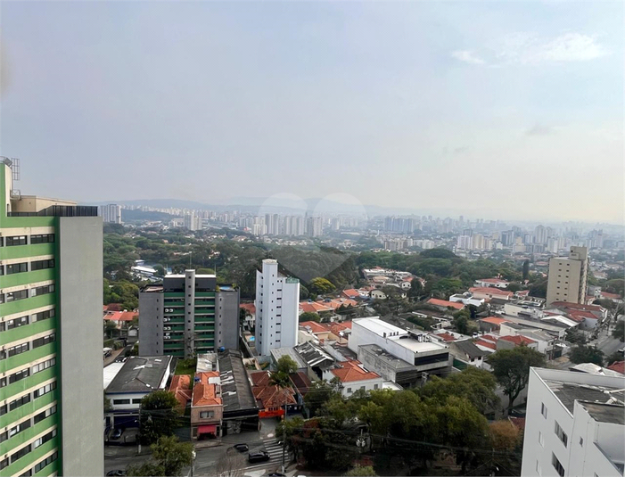 Foto REO192819
