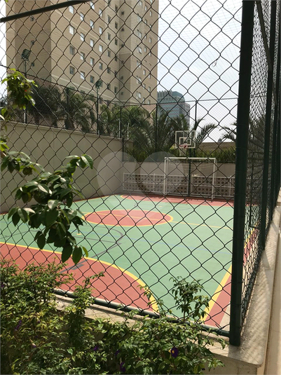 Foto REO193016