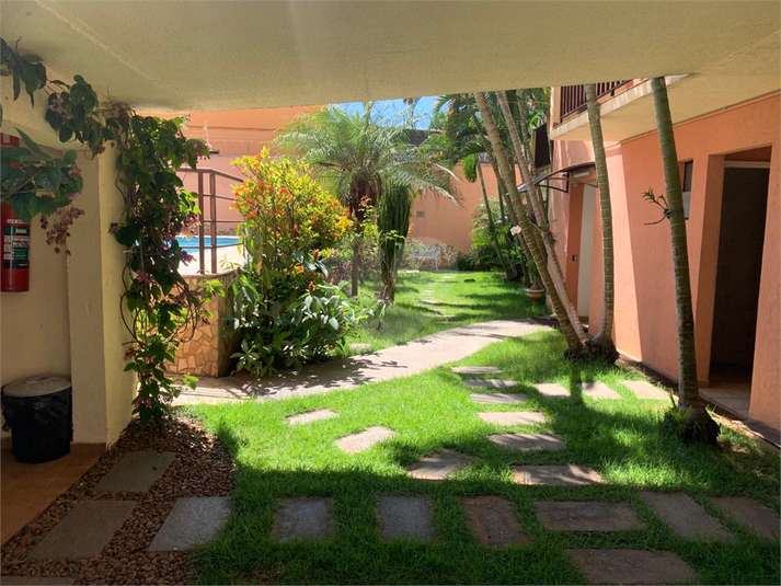 Foto REO193273