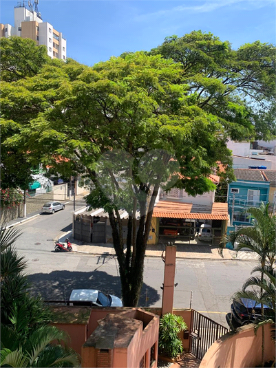 Foto REO193273