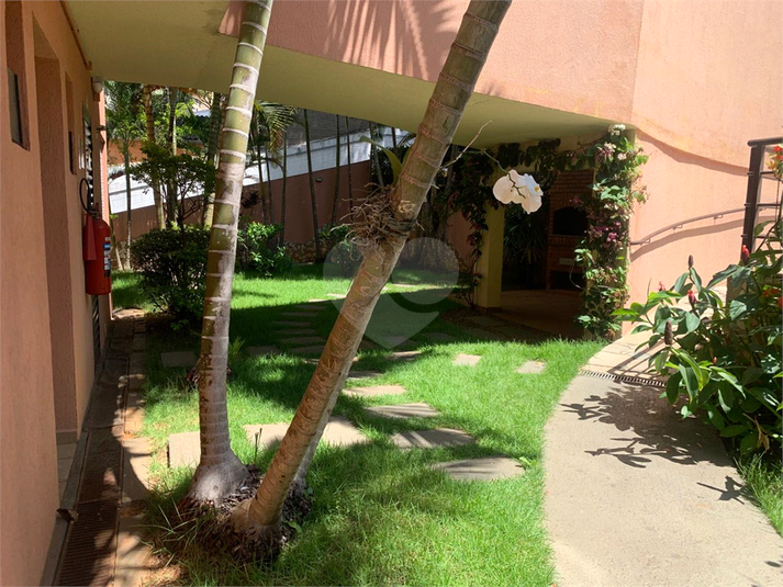 Foto REO193273