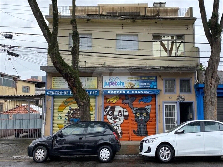 Foto REO193353