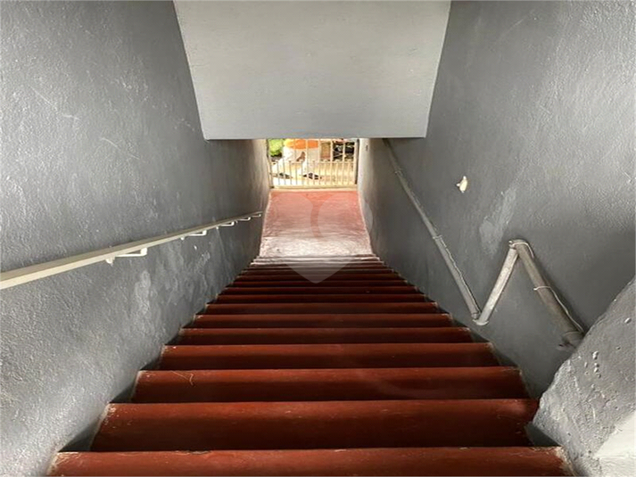 Foto REO193353