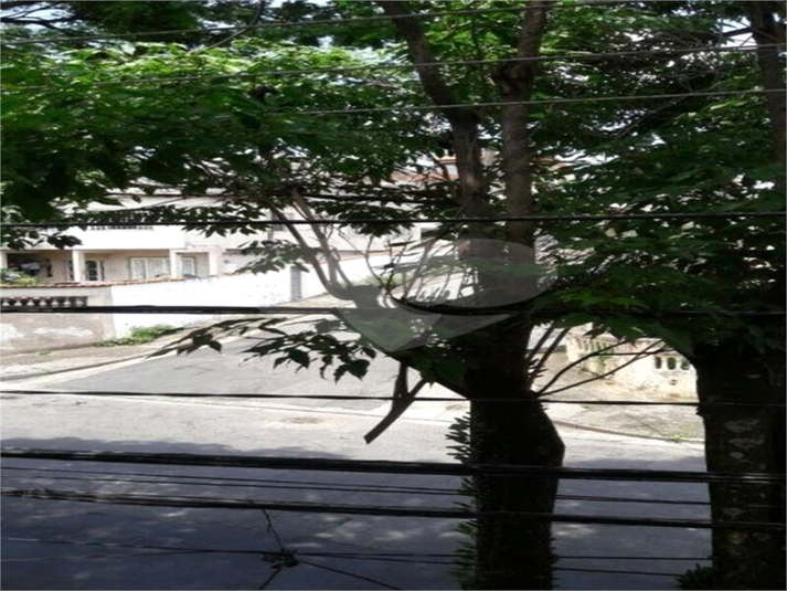 Foto REO193353
