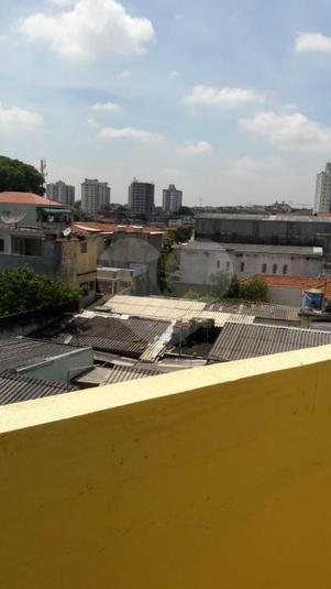 Foto REO193353