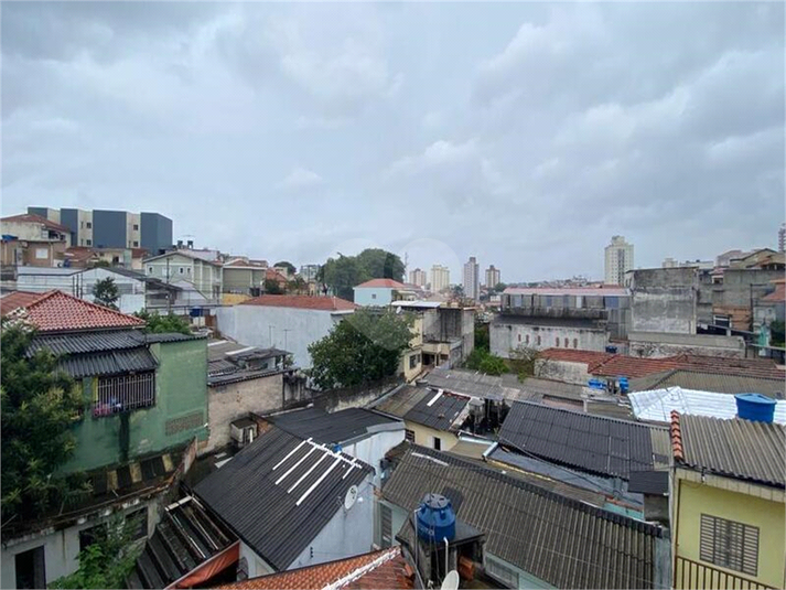 Foto REO193353