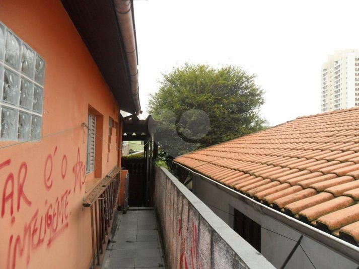 Foto REO19362