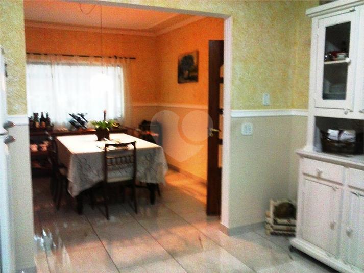 Foto REO193621