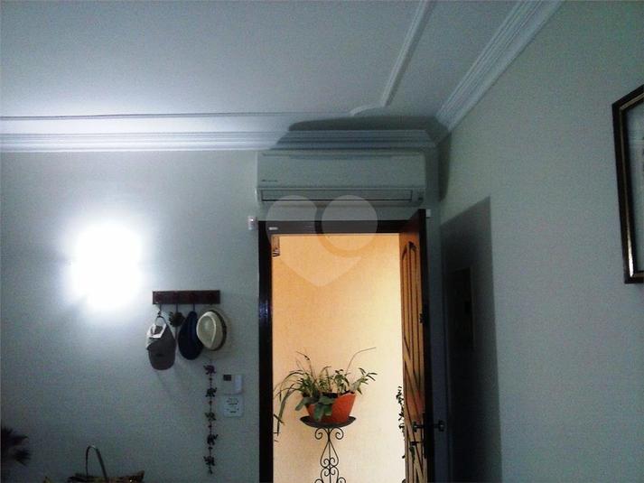 Foto REO193621