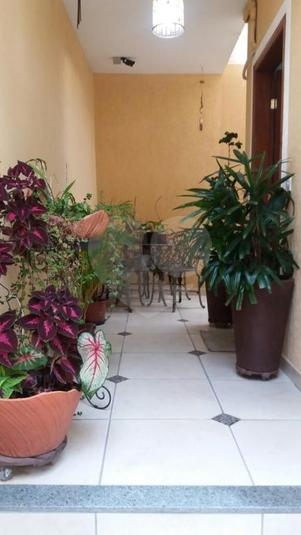 Foto REO193621
