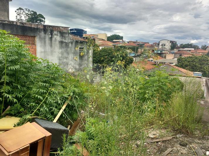 Venda Terreno São Paulo Vila Hermínia REO193632 13