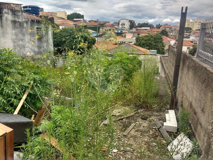 Venda Terreno São Paulo Vila Hermínia REO193632 11