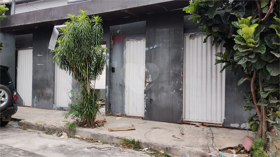Foto REO193661